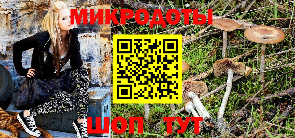 Псилоцибиновые грибы Psilocybine cubensis  сколько стоит  Костомукша  Вход с VPN 