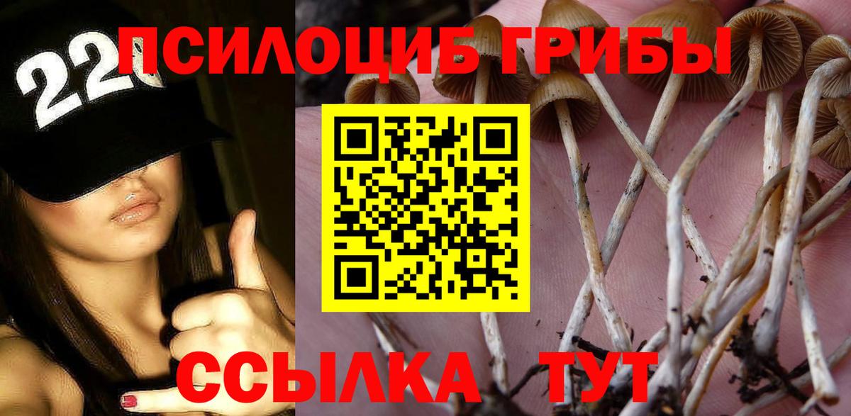 Галлюциногенные грибы прущие грибы Костомукша